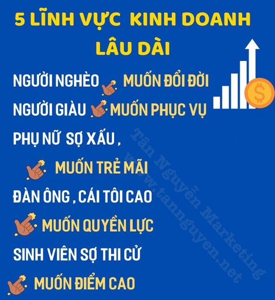 lĩnh vực kinh doanh lâu dài