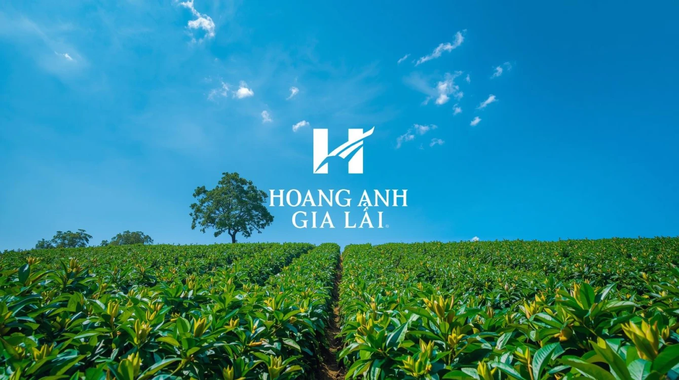 Marketing Hoàng Anh Gia Lai