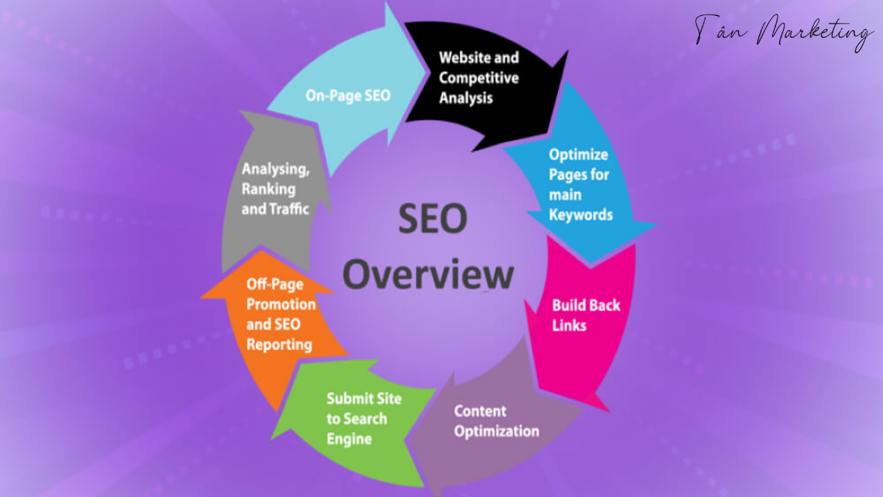 SEO TỔNG THỂ