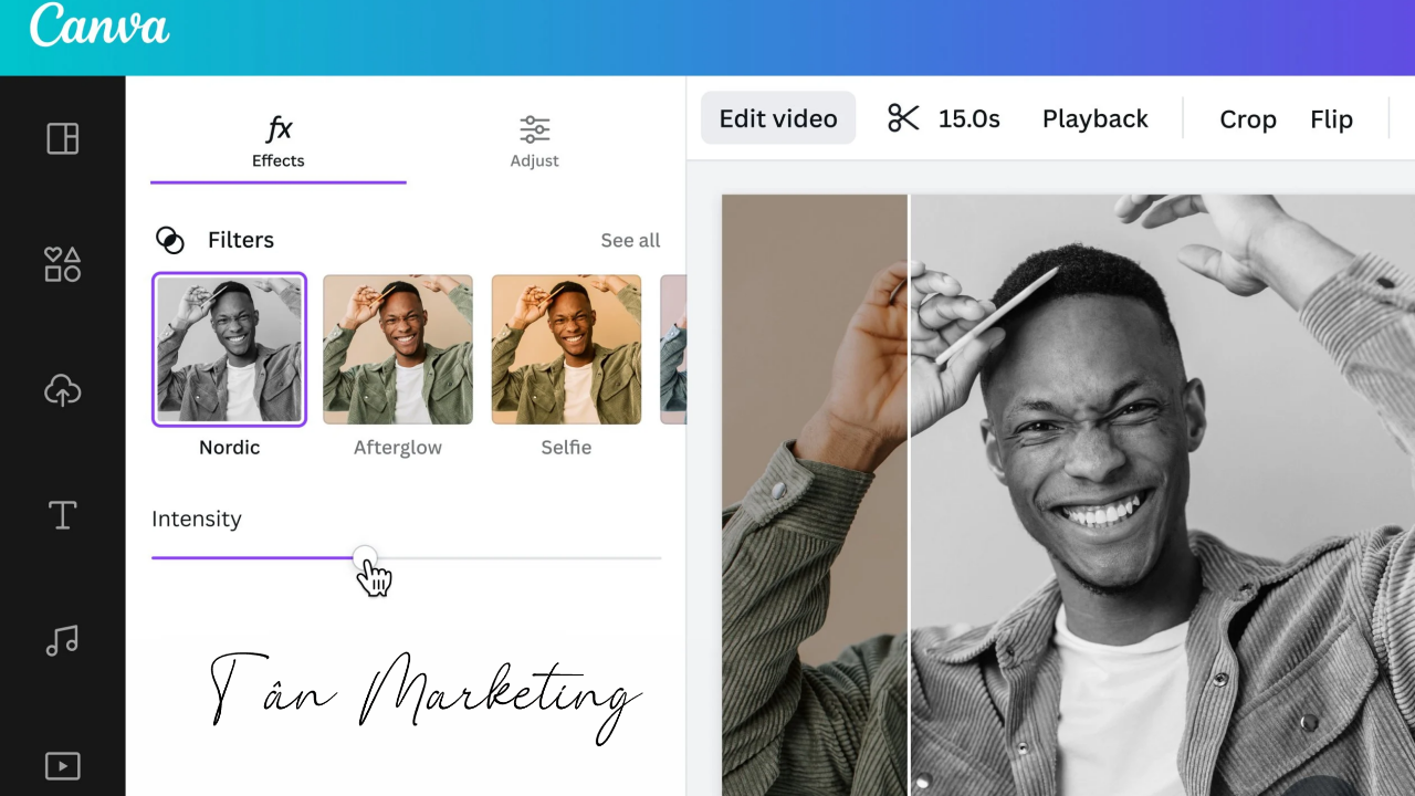 canva pro total