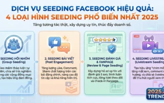 dịch vụ seeding Facebook hiệu quả